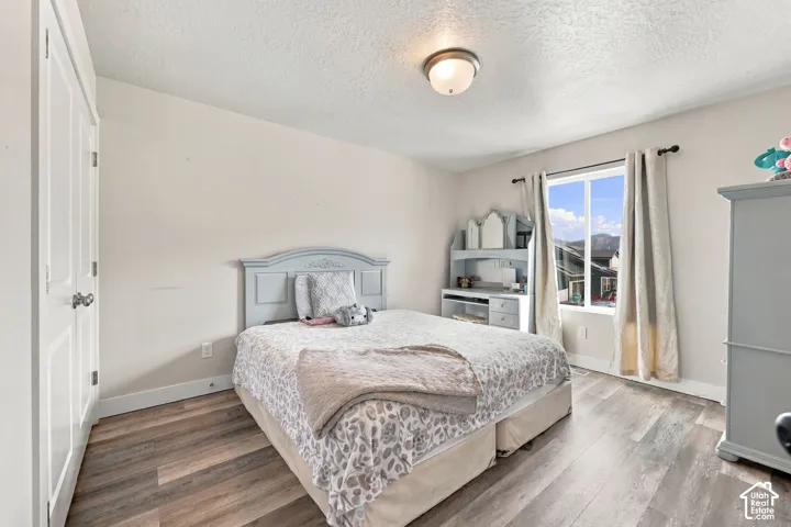 Neutral-toned interior featuring wood-finish flooring, a double-door closet, and a large window
