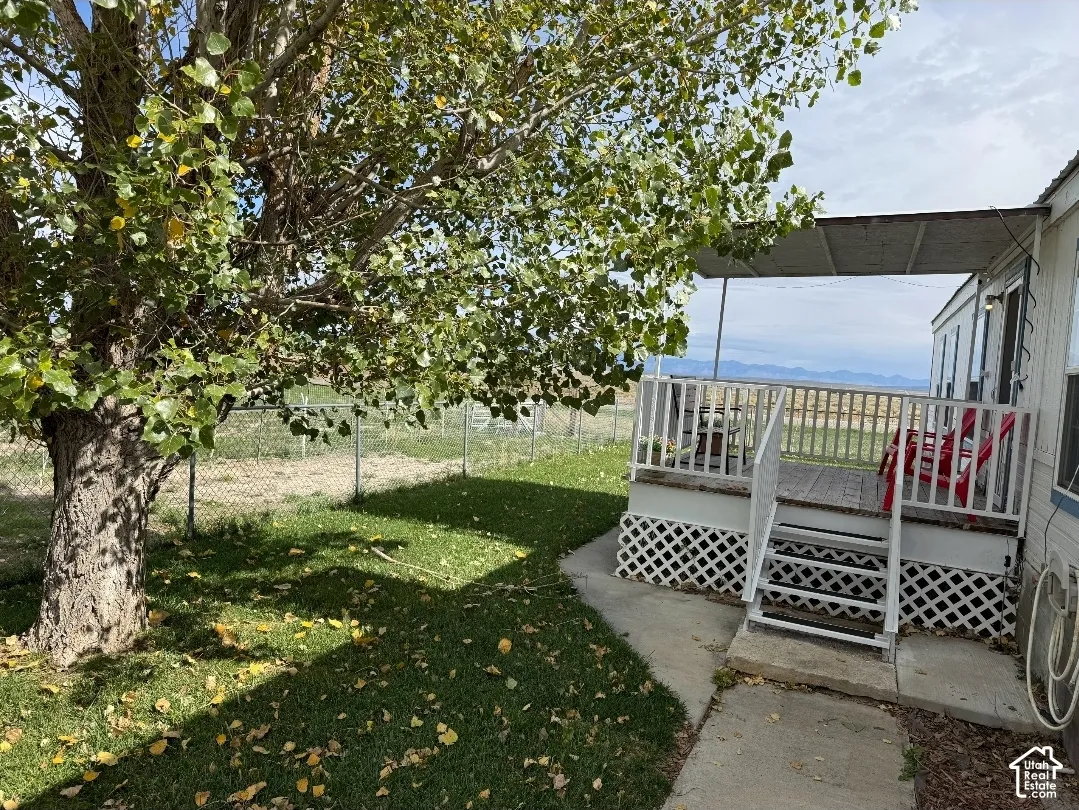 Raised exterior deck with lattice skirting, metal awning, chain-link perimeter fencing, and mature tree