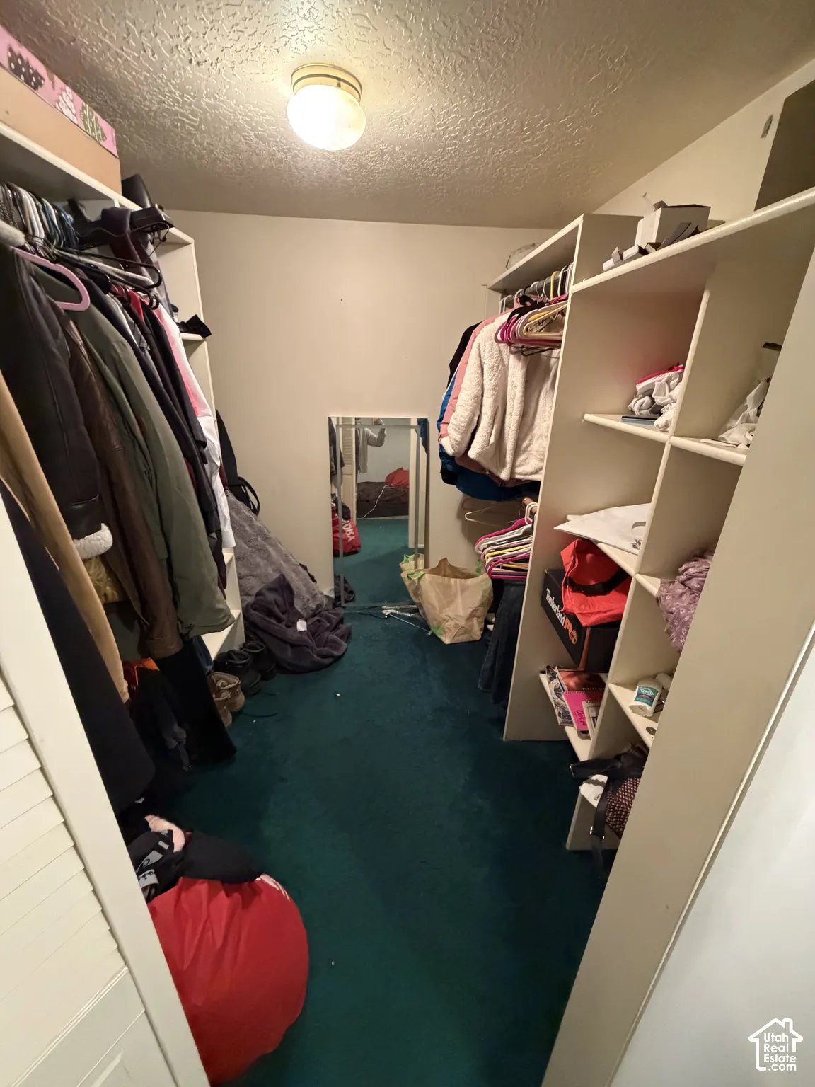 Walk-in closet featuring built-in shelving, hanging rods, carpeted flooring, and a flush-mount ceiling light fixture
