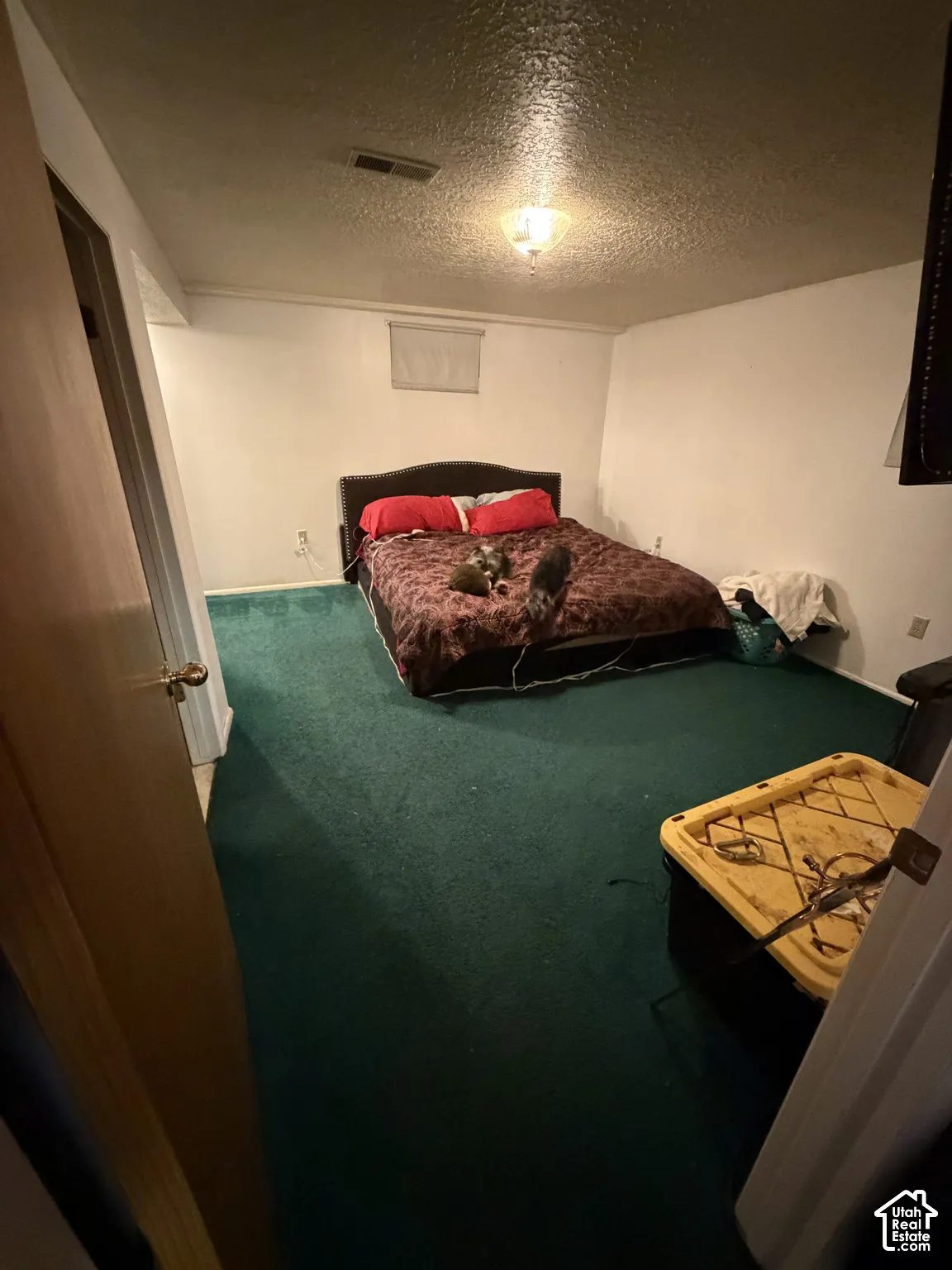 Room featuring wall-to-wall carpeting, flush-mount ceiling lighting, and a single window with a privacy blind