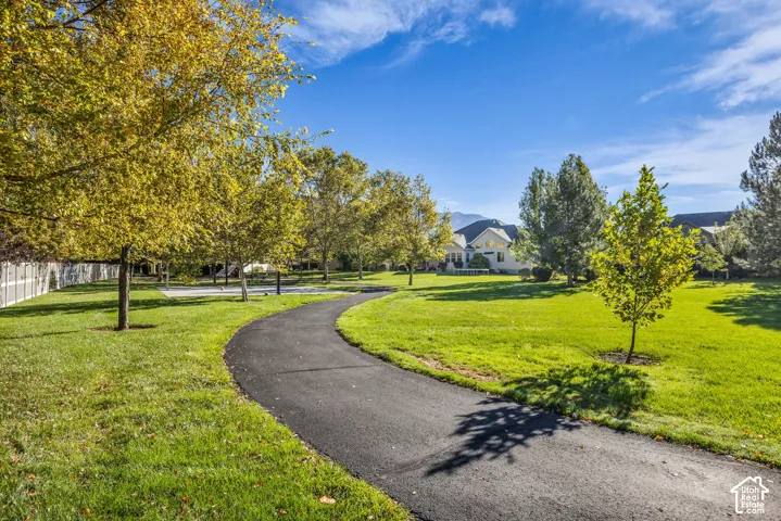 Expansive backyard featuring a winding asphalt pathway, manicured lawn, mature deciduous trees, and a concrete sports court