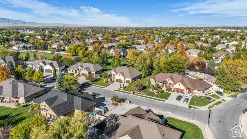 Aerial perspective of a suburban neighborhood featuring mature trees, manicured lawns, multi-car garages, and asphalt streets, set against a backdrop of distant mountains