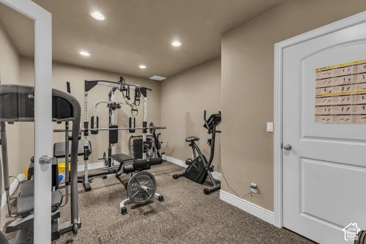 Interior room featuring neutral wall paint, recessed lighting, carpeted flooring, and a solid-core interior door with a brushed nickel lever handle