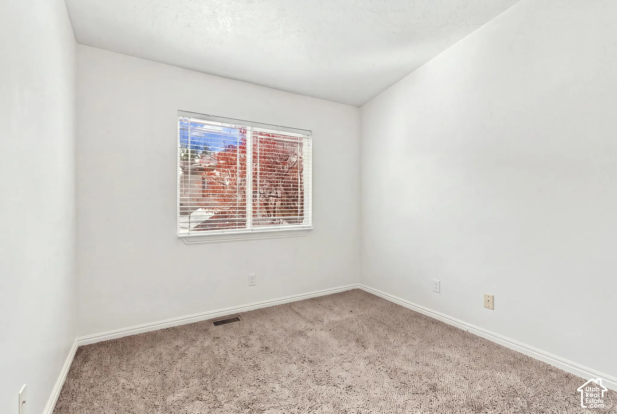 Neutral-toned carpeting and walls, single-pane window with horizontal blinds, and overhead lighting fixture