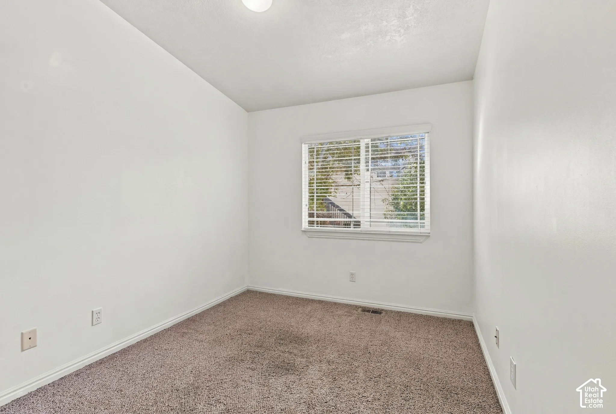 Neutral-toned wall-to-wall carpeting and a single-pane window with horizontal blinds