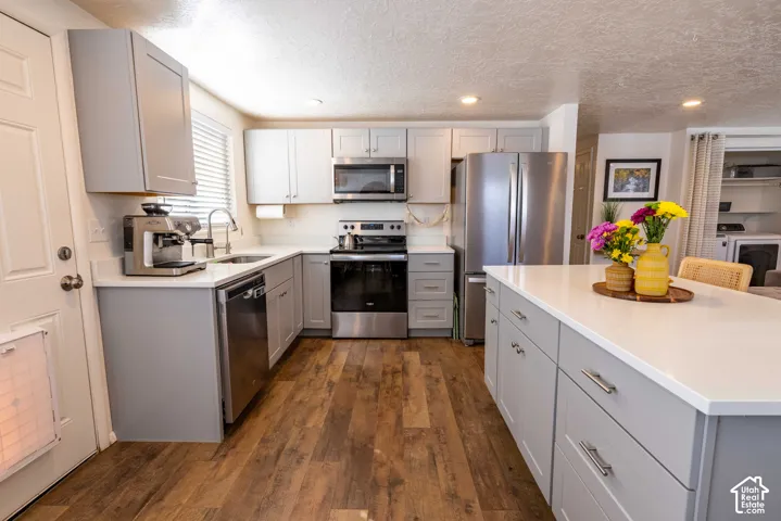 Kitchen featuring light gray shaker cabinetry, wood-finish flooring, a central island with a solid surface countertop, and stainless steel appliances