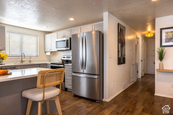 Kitchen featuring light gray cabinetry, stainless steel appliances, wood-finish flooring, recessed lighting, and a solid surface peninsula