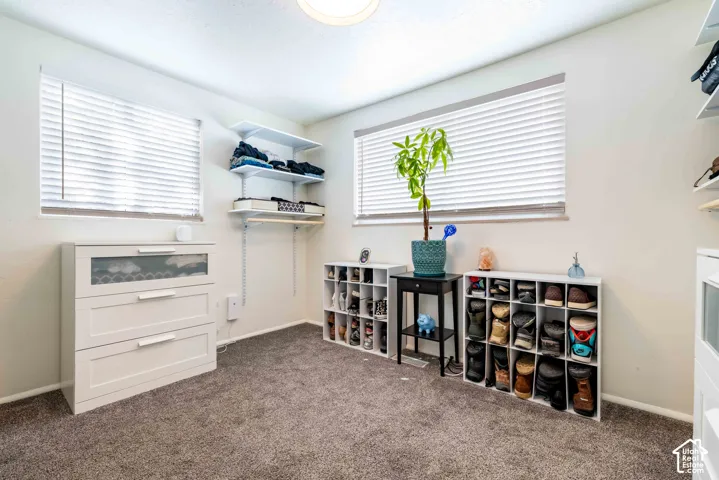 Room with wall-to-wall carpeting, two dual-pane windows with horizontal blinds, and built-in shelving units