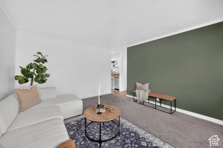 Interior space featuring neutral wall tones, a dark olive accent wall, and wall-to-wall carpeting