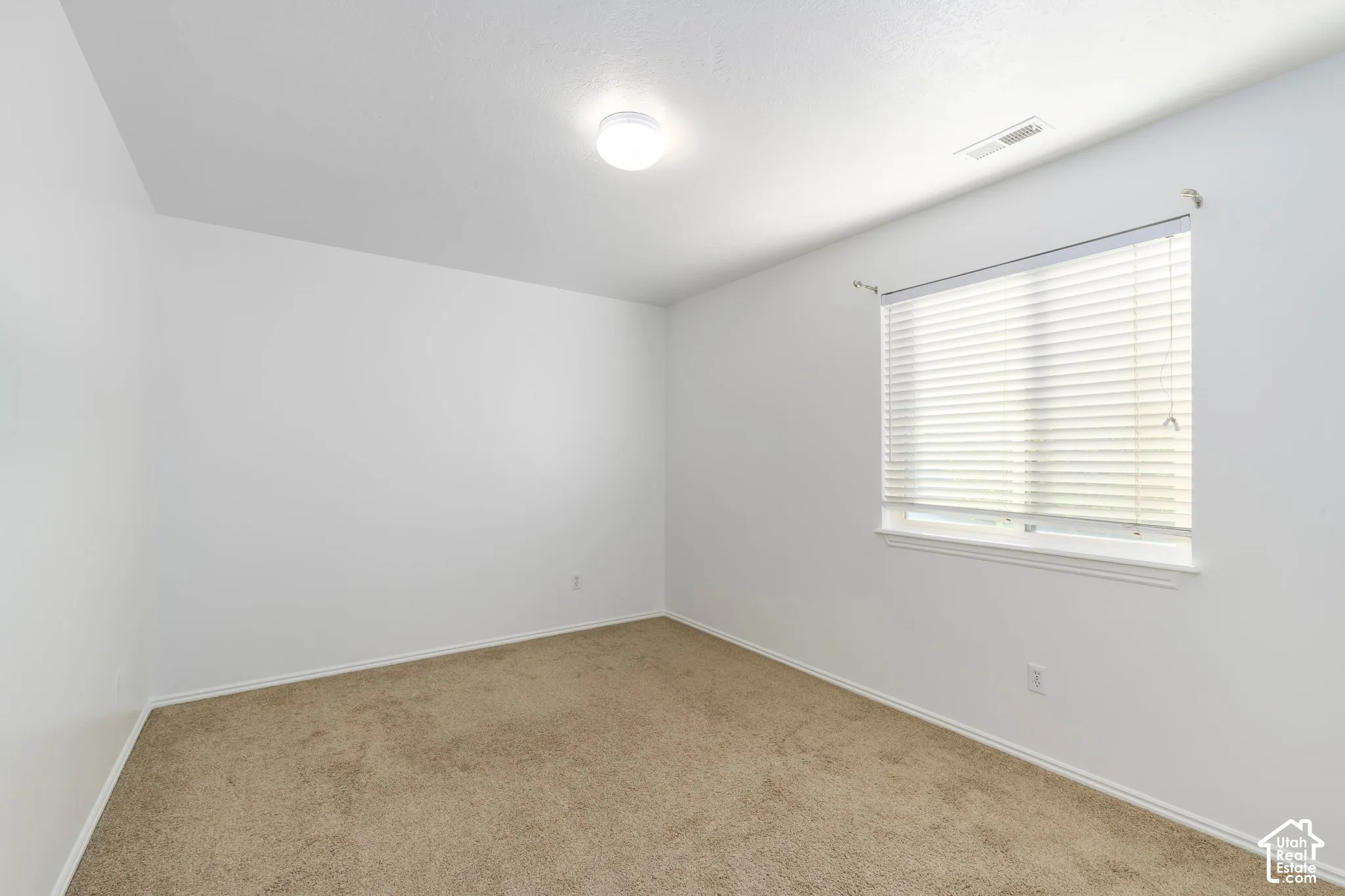 Neutral wall finish, carpeted flooring, and a single-pane window with horizontal blinds