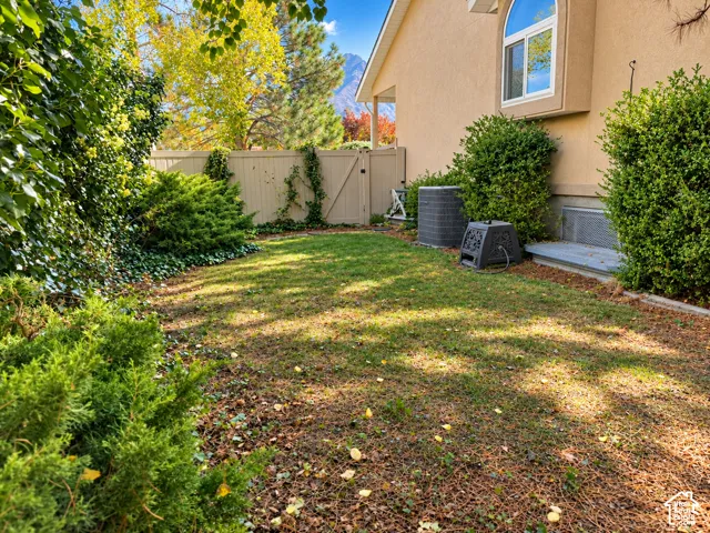 Back yard