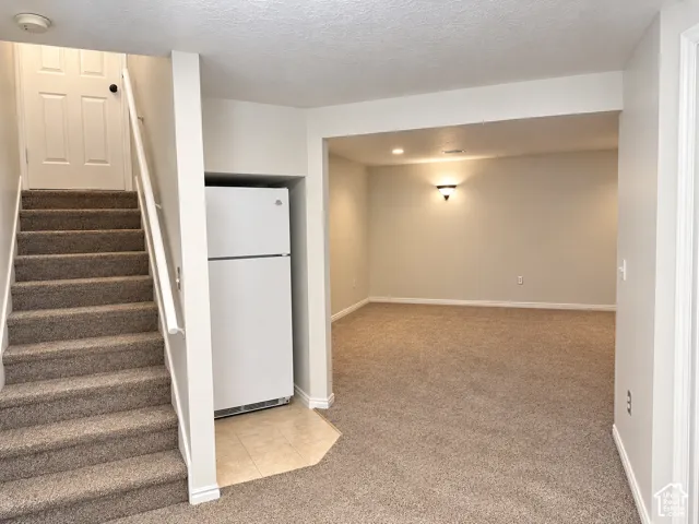 Basement stairs, extra refrigerator.
