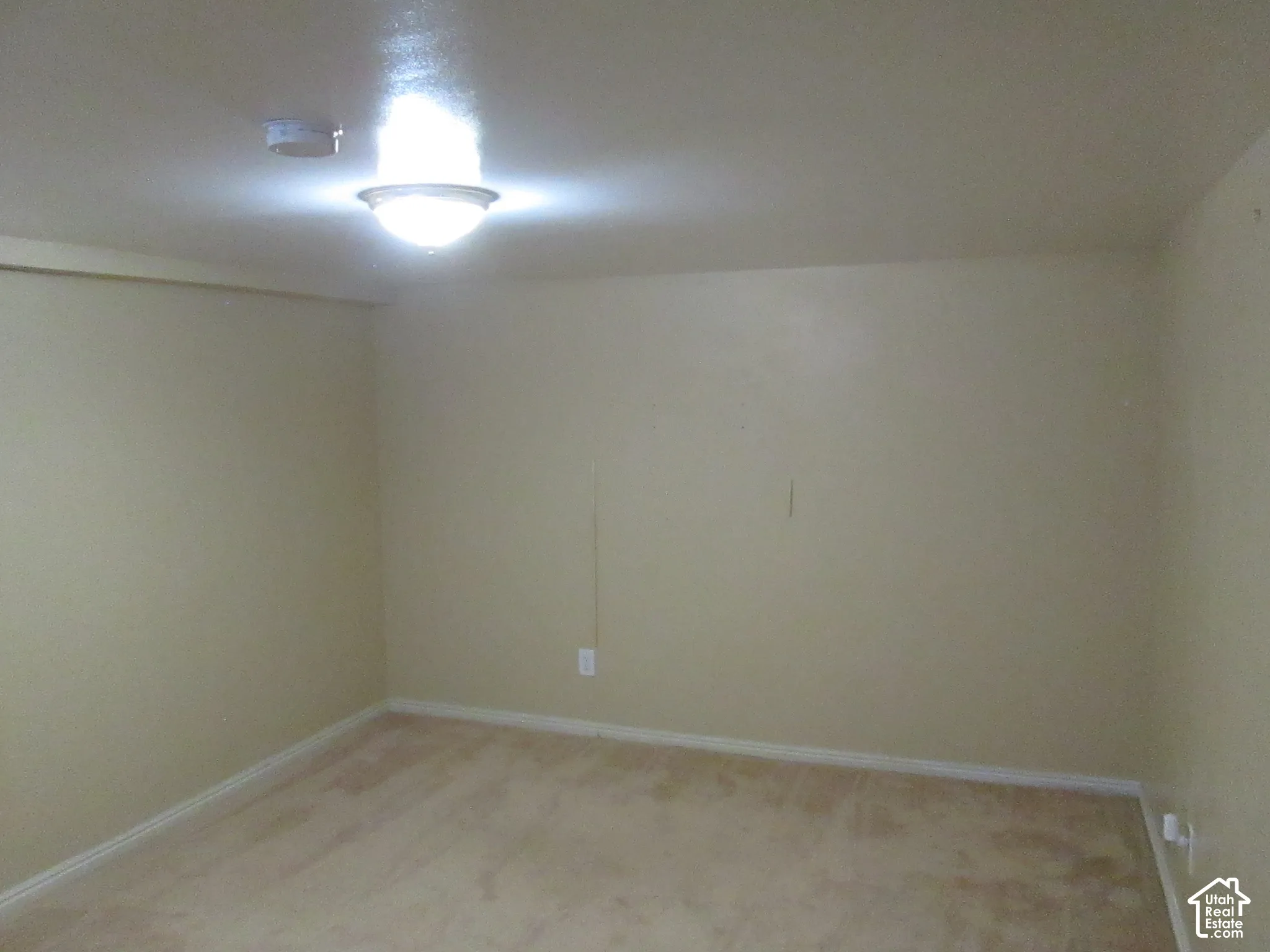 Interior space featuring neutral wall tones, wall-to-wall carpeting, and a flush-mount ceiling light fixture