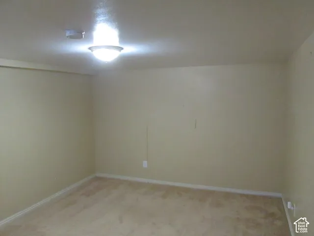 Interior space featuring neutral wall tones, wall-to-wall carpeting, and a flush-mount ceiling light fixture