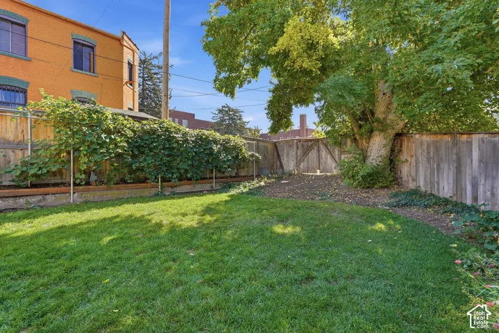 Beautiful fully-fenced backyard with mature tree.