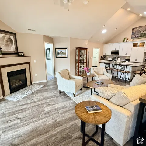 Gas fireplace