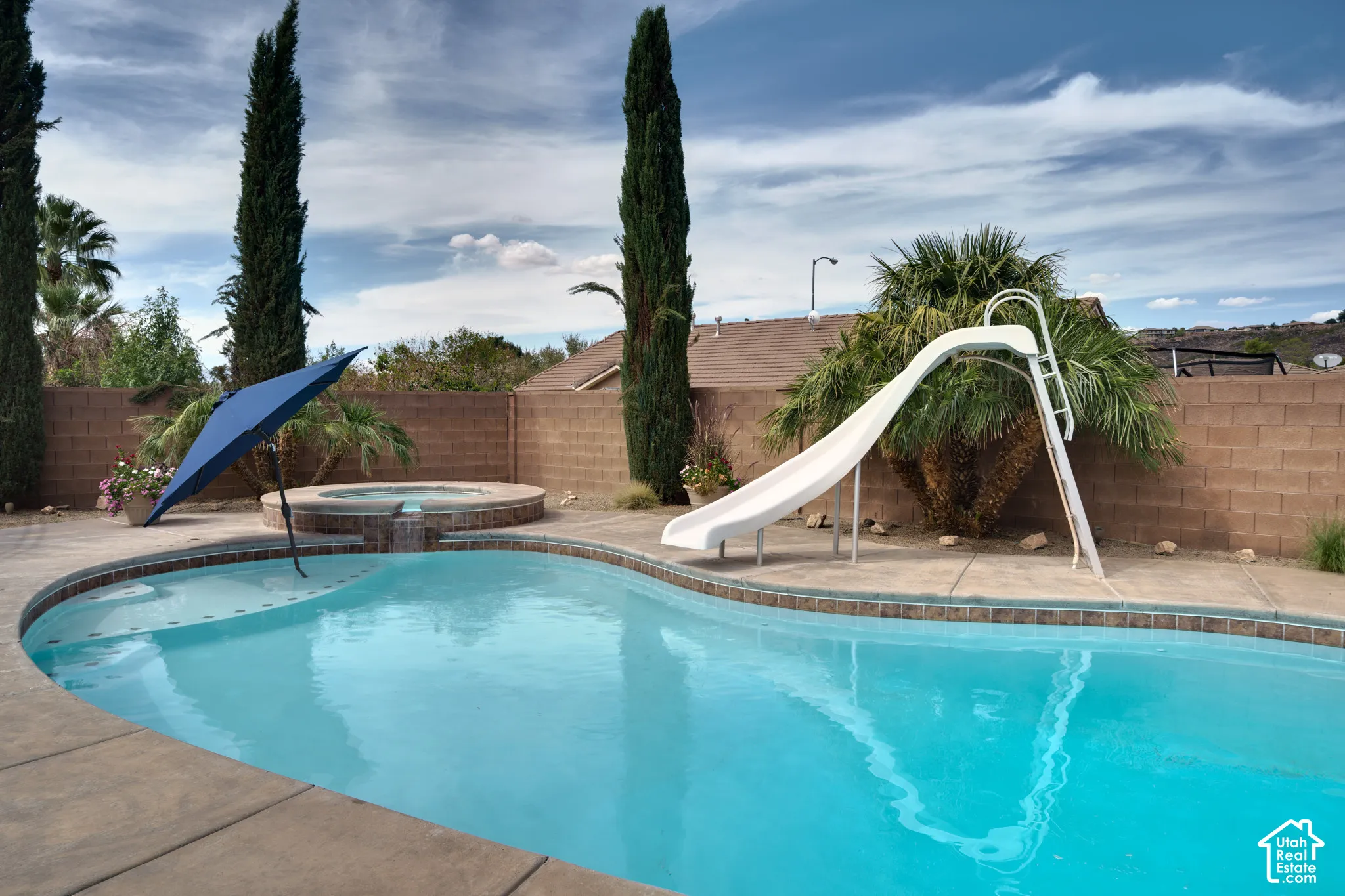 In-ground pool with a slide, a shallow lounging ledge and a built-in spa.
