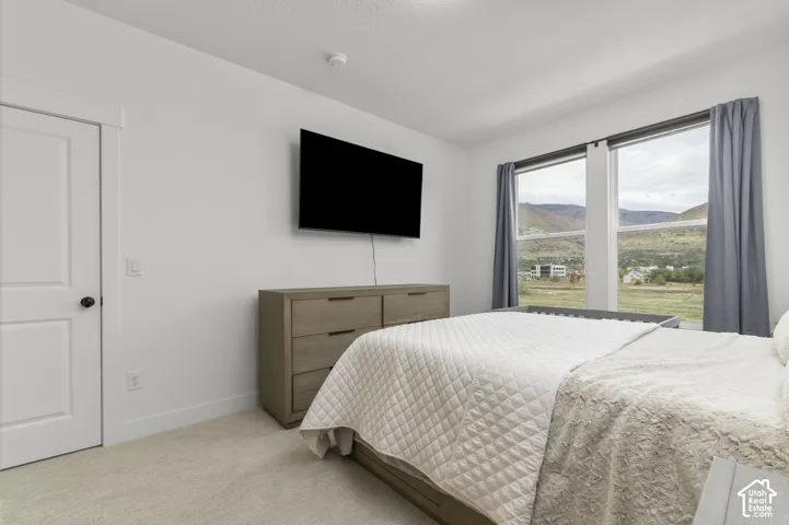 Neutral-toned room with plush carpeting, two-panel interior door, and dual windows featuring mountain scenery