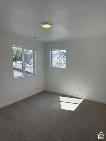 Room featuring neutral-toned carpeting, dual windows, and a flush-mount ceiling light fixture