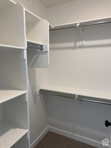 Walk-in closet featuring white custom built-in shelving, multi-level metal garment rods, and neutral carpeting
