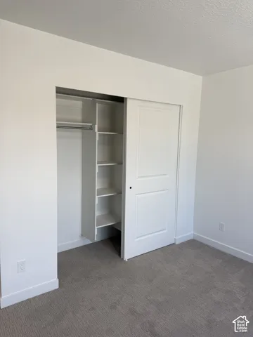 Closet featuring a two-panel sliding door, integrated shelving system, and horizontal garment rod, paired with neutral carpeting