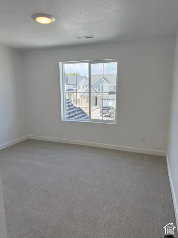 Neutral interior featuring plush wall-to-wall carpeting, crisp white wall finish, and a large sliding window with grid detailing