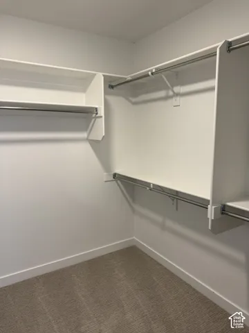 Walk-in storage space featuring neutral carpeting and built-in white shelving with integrated metal hanging rods