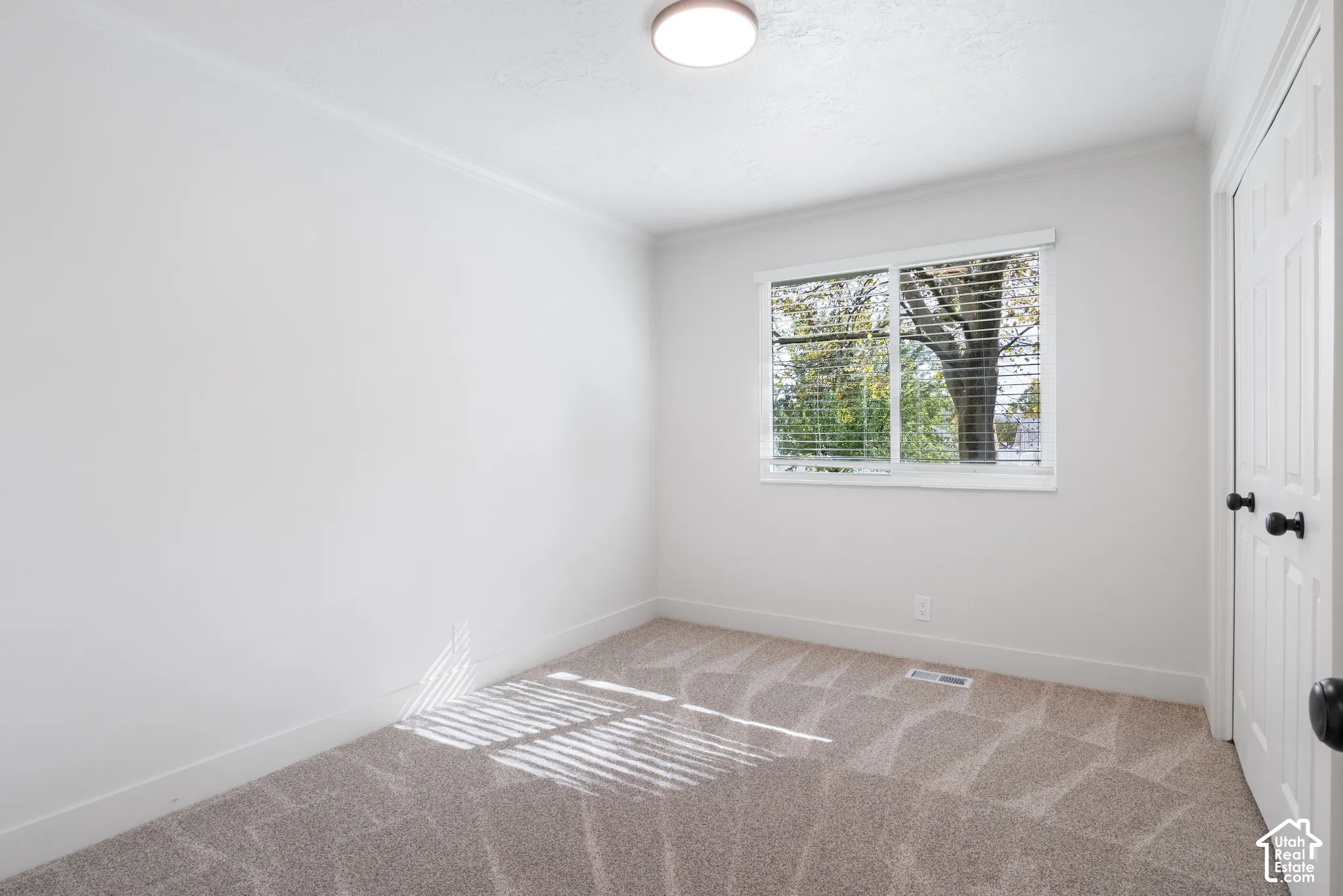 Neutral-toned carpeting, sliding closet doors with matte black hardware, dual-pane window with horizontal blinds, and flush-mount ceiling lighting