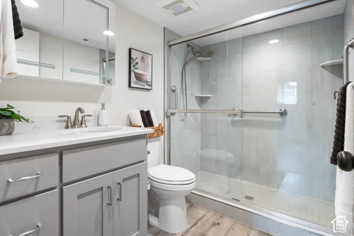 Grey vanity with stone-finish countertop, undermount sink, built-in medicine cabinet, walk-in shower with glass enclosure, and wood-finish flooring