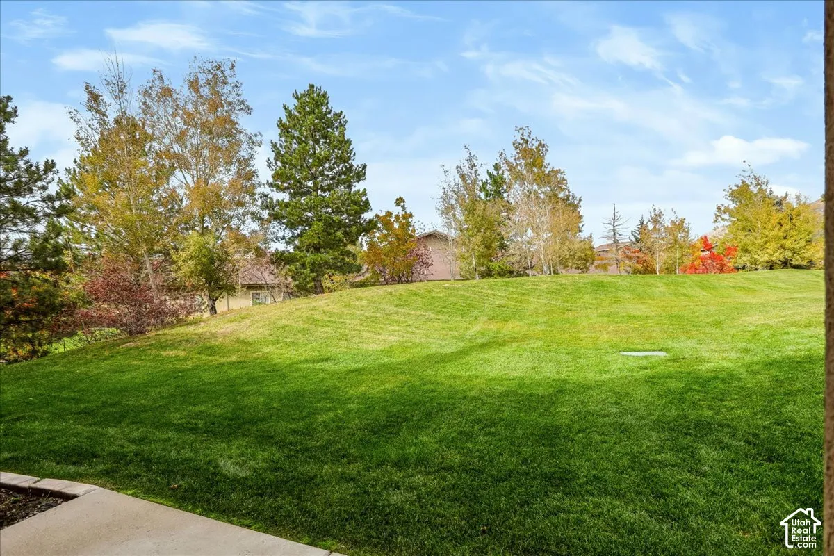 View from the patio of Expansive grassy lawn with mature trees and stone edging