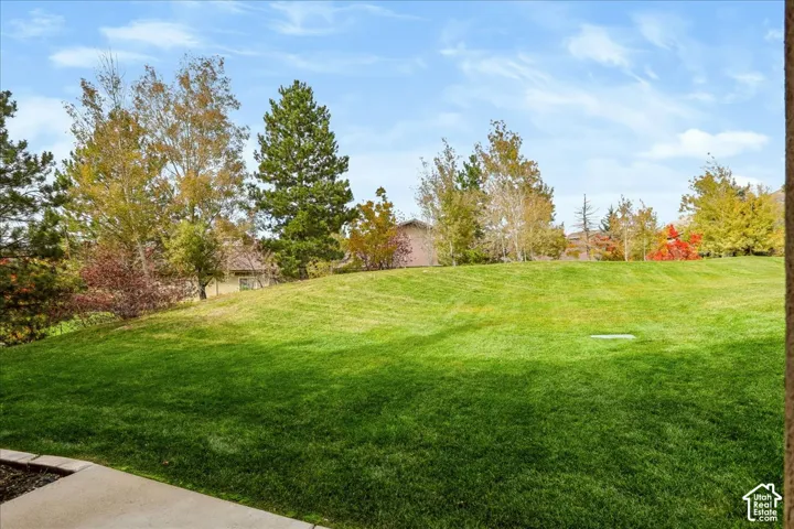 View from the patio of Expansive grassy lawn with mature trees and stone edging