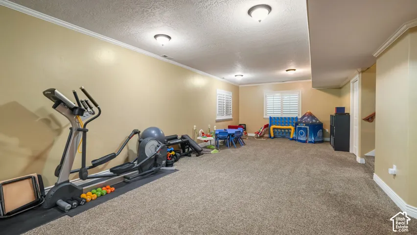 Finished lower-level room with neutral carpeting, crown molding, plantation shutters, and recessed lighting