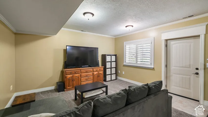 Room featuring wall-to-wall carpeting, crown molding, plantation shutters, and a six-panel door with architectural casing