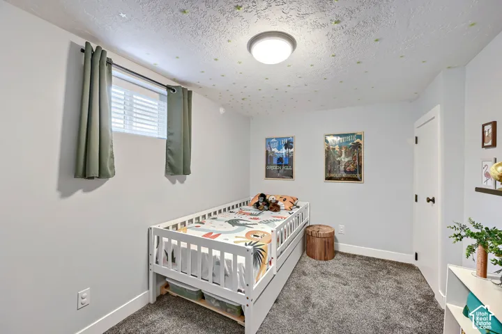 Room featuring neutral wall tones, gray carpeting, a ceiling-mounted light fixture, and an egress-style window