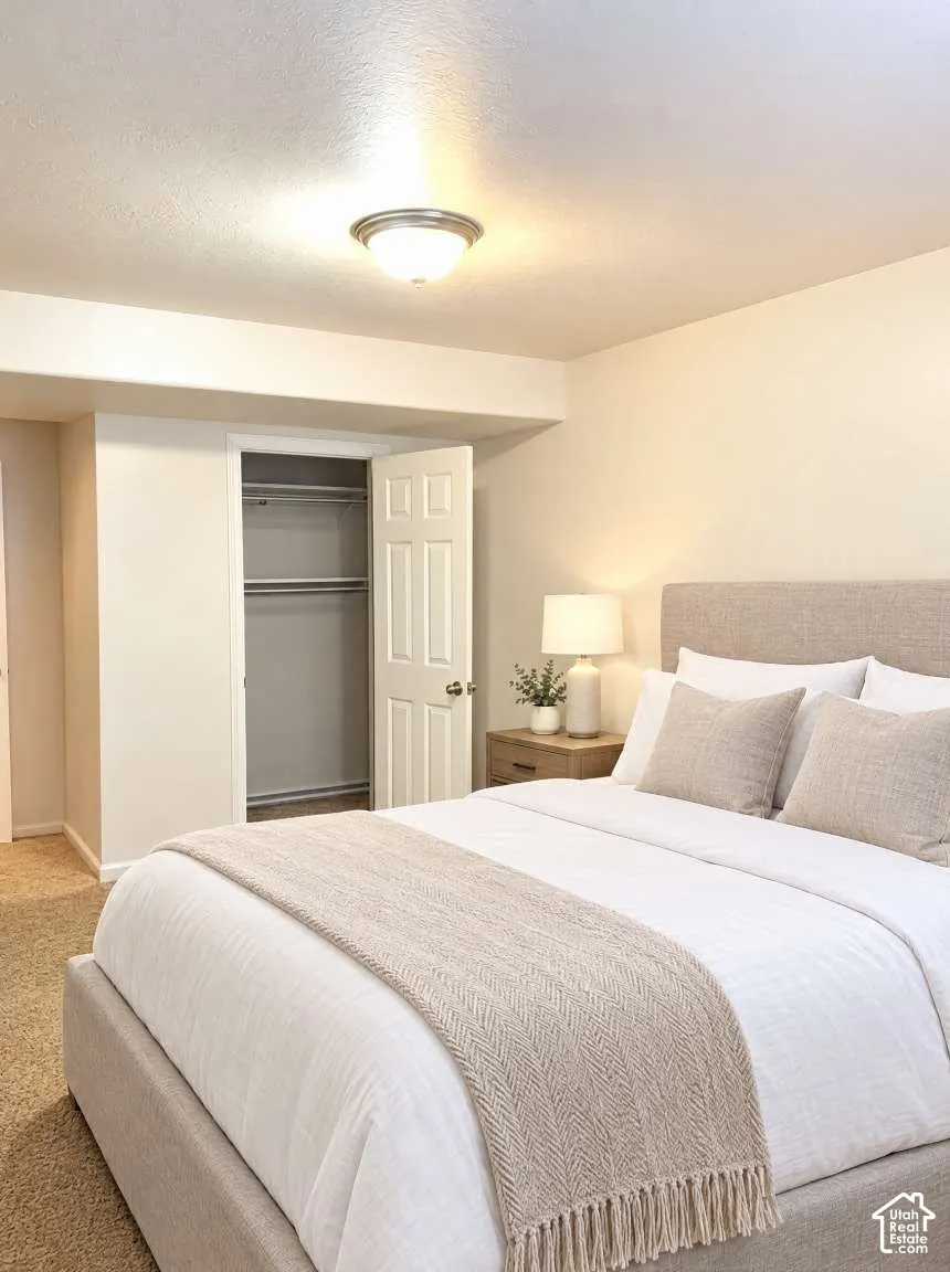 Neutral-toned carpeted flooring, built-in closet with integrated shelving, brushed nickel finish ceiling light fixture, and classic six-panel interior door