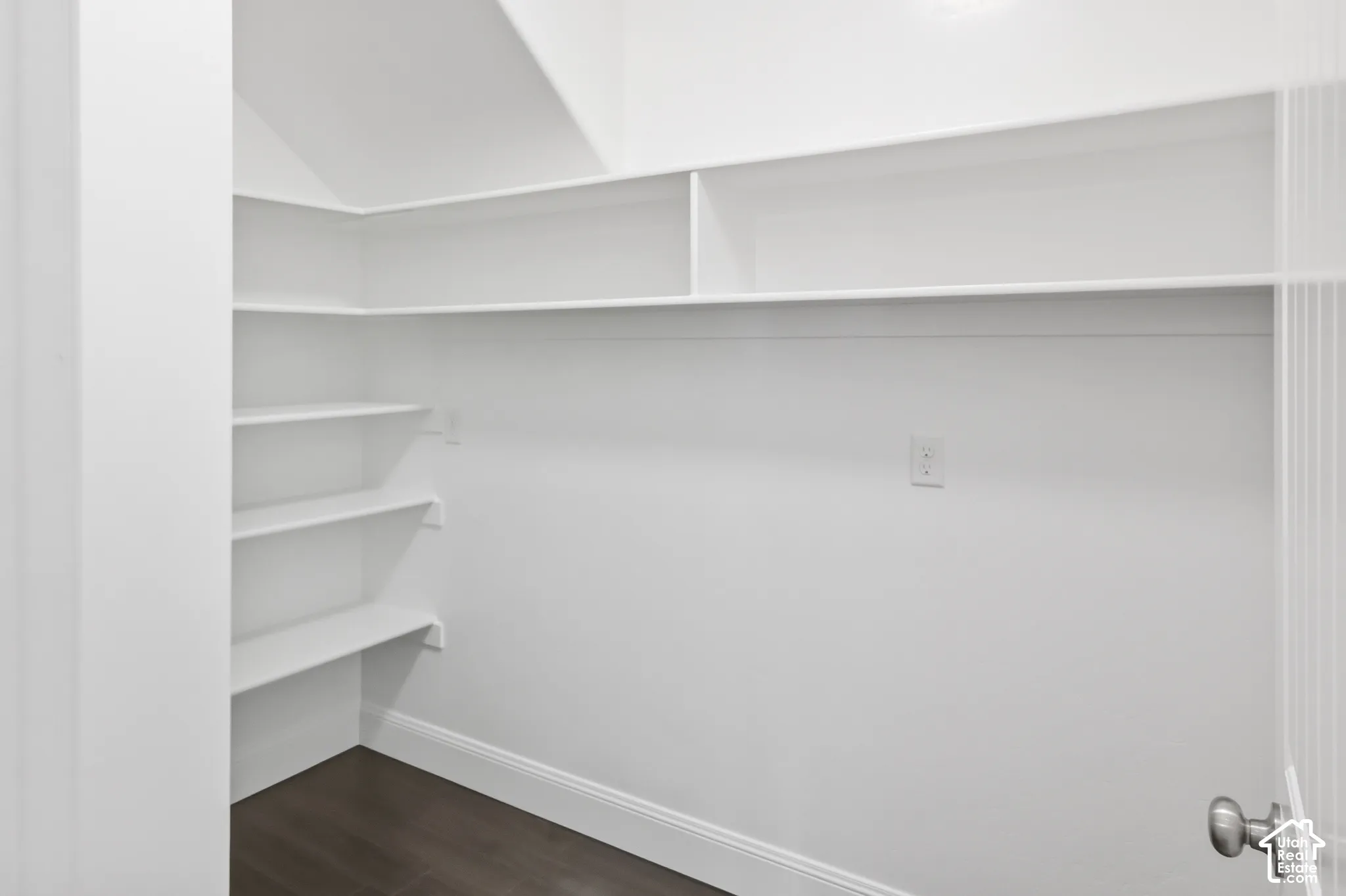 Extra-large walk-in  pantry storage area featuring white built-in shelving, dark wood-finish flooring, and electrical outlets