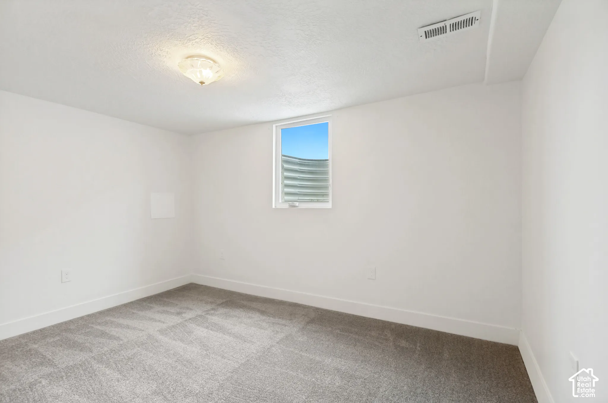 Neutral-toned room featuring textured carpeting, bright white walls, a flush-mount ceiling light fixture, and an egress window with a corrugated metal window well