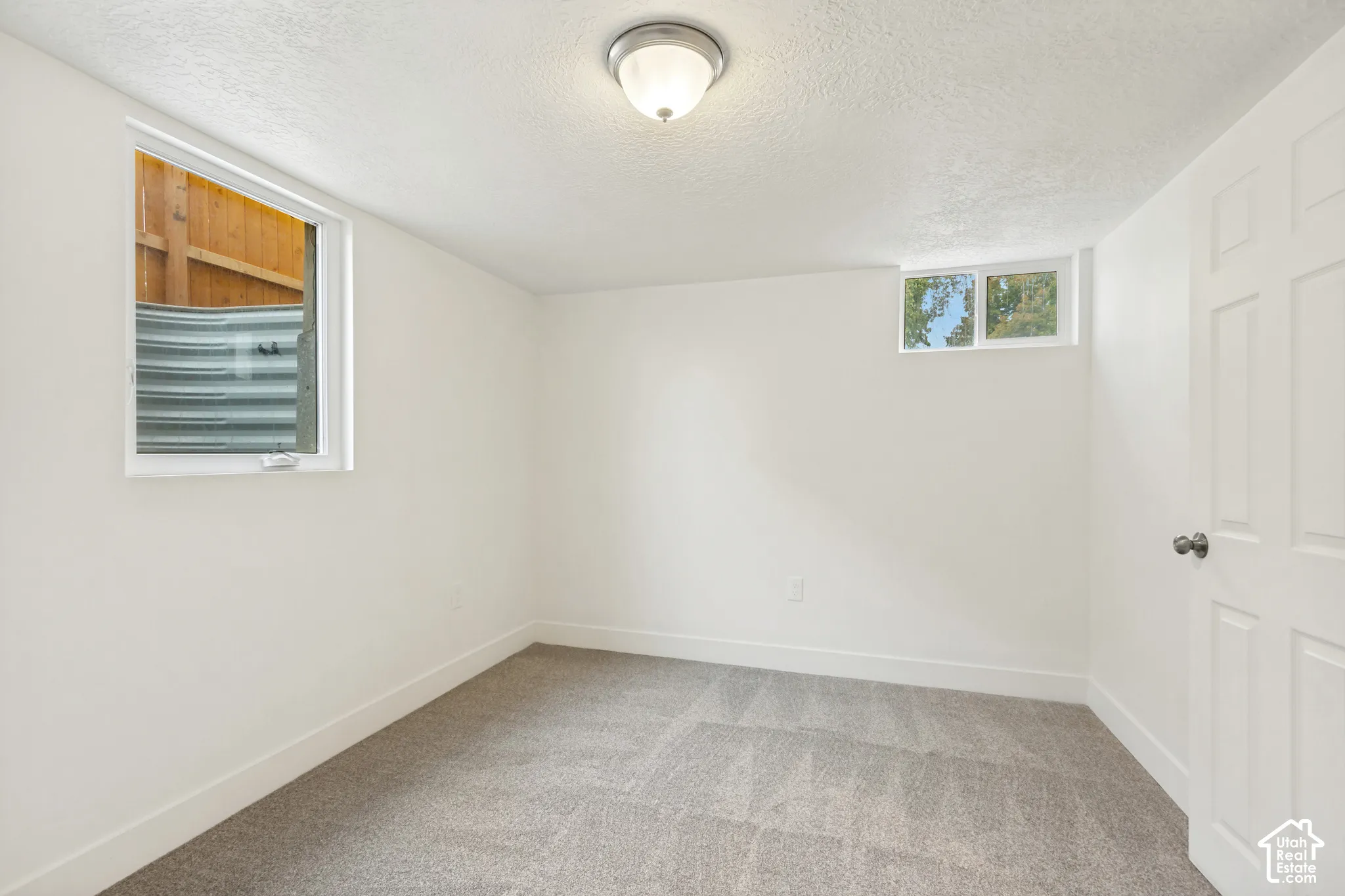 Interior space featuring neutral wall tones, wall-to-wall carpeting, a flush-mount ceiling light fixture, two windows, and a six-panel door