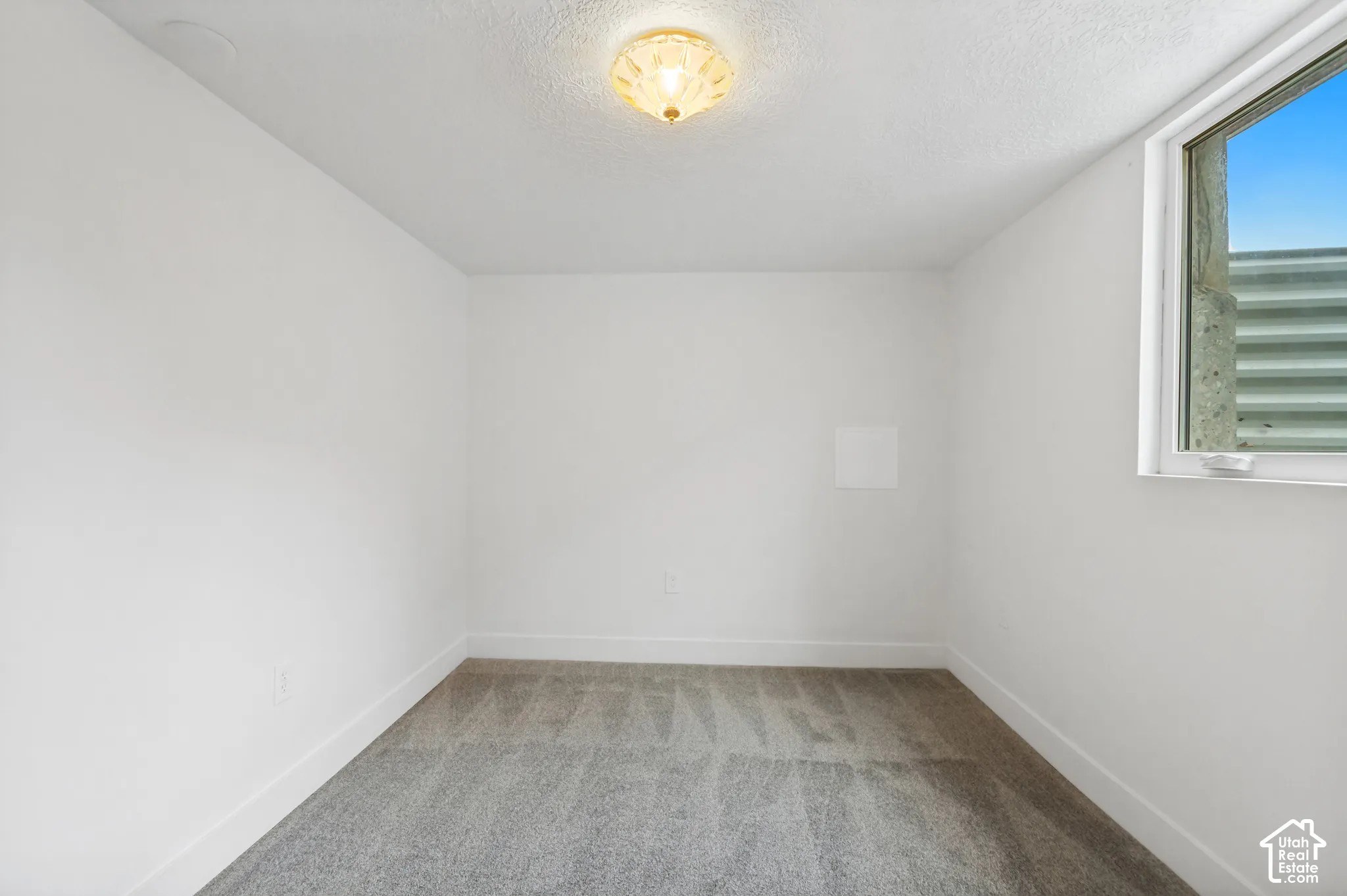 Interior room featuring neutral wall-to-wall carpeting, white walls, a flush-mount ceiling light fixture, and an egress window