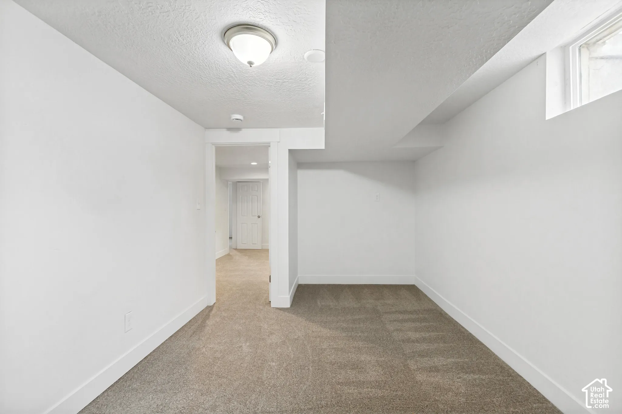 Interior space featuring neutral-toned carpeting, white walls, a flush-mount ceiling light, and a white paneled door