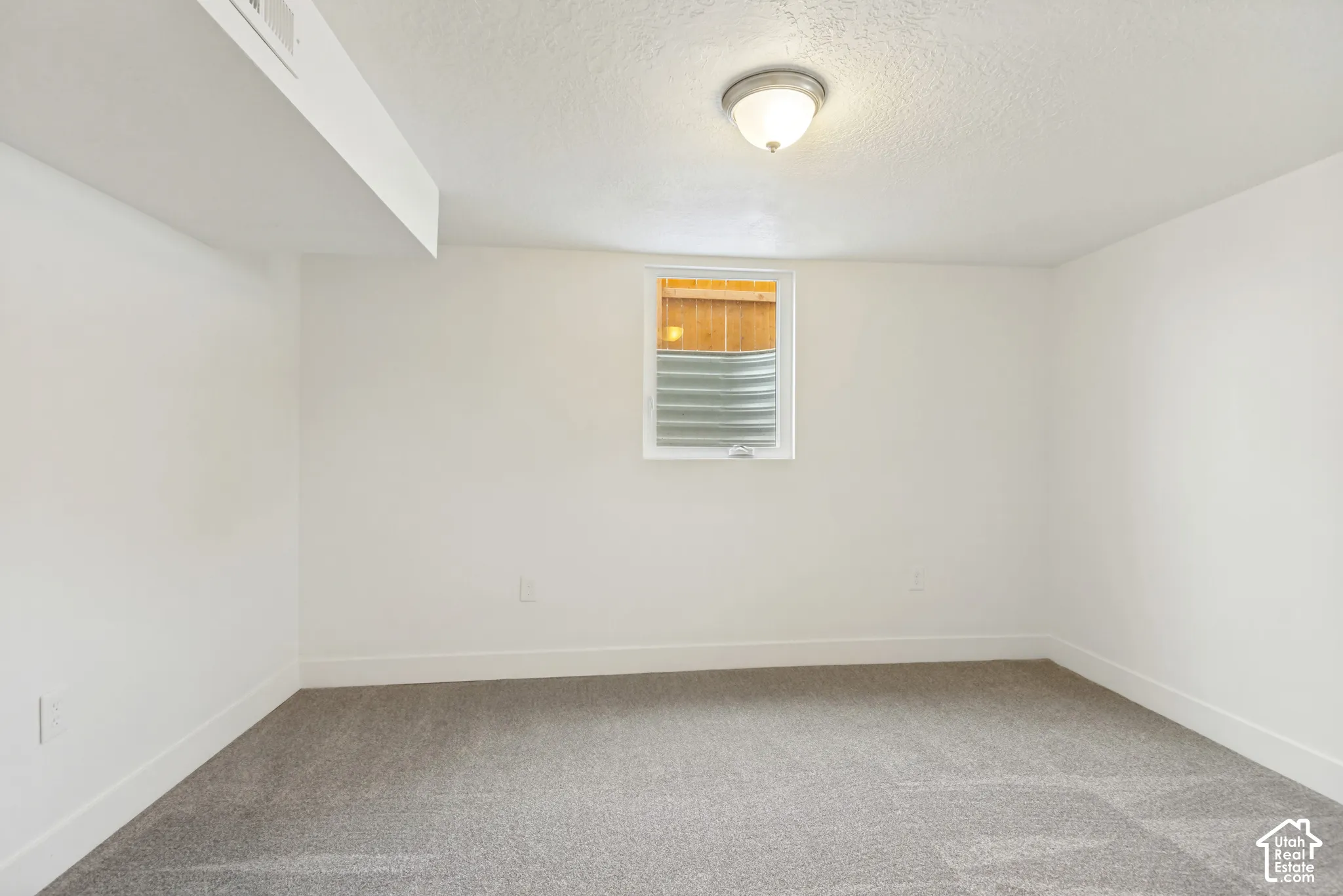Neutral-toned carpeted flooring, white wall finishes, ceiling-mounted light fixture, and an egress window featuring a corrugated metal window well