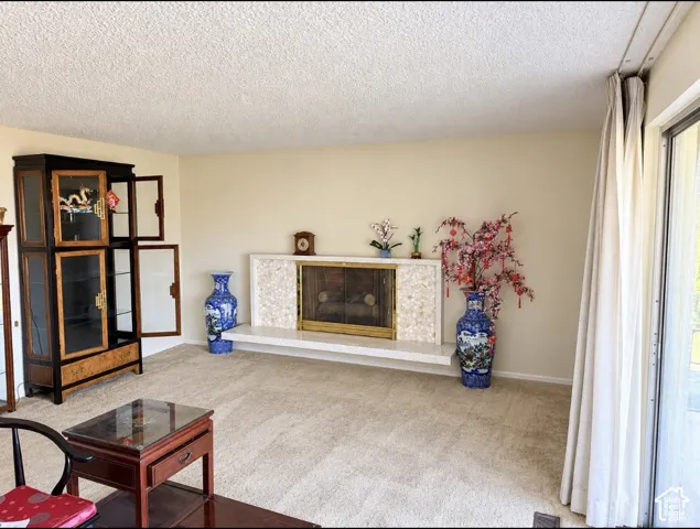 Fireplace featuring a decorative stone surround, floating hearth, and brass-finish metal screen, paired with a sliding glass door