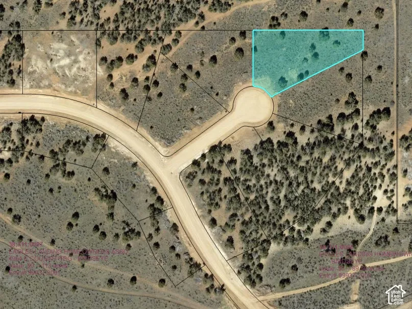 Aerial Plat Map. Highlighting the parcel boundaries of the property