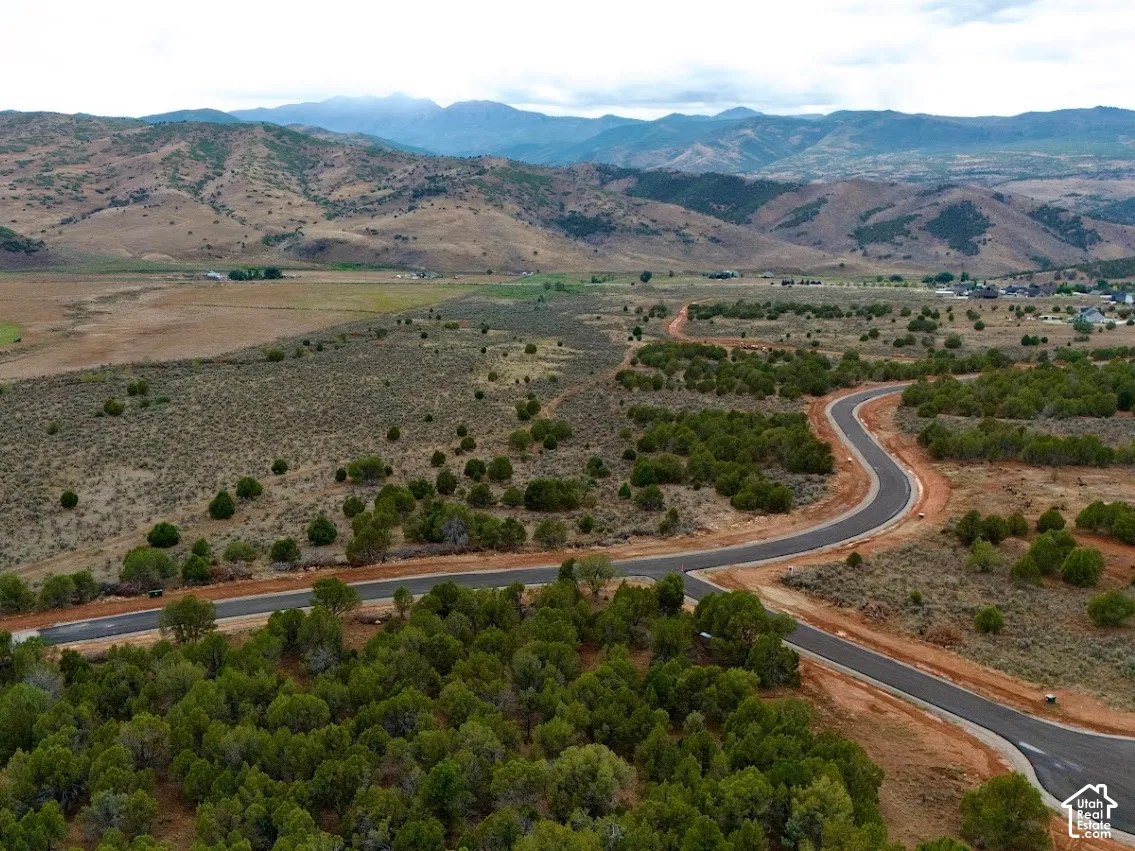 Aerial perspective of undeveloped land featuring paved asphalt roadways, native evergreen vegetation, expansive terrain, and a prominent mountain range backdrop