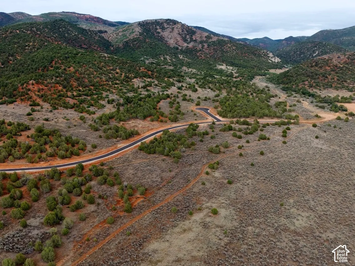 Expansive parcel featuring mature native vegetation, paved roads, and rolling mountainous terrain