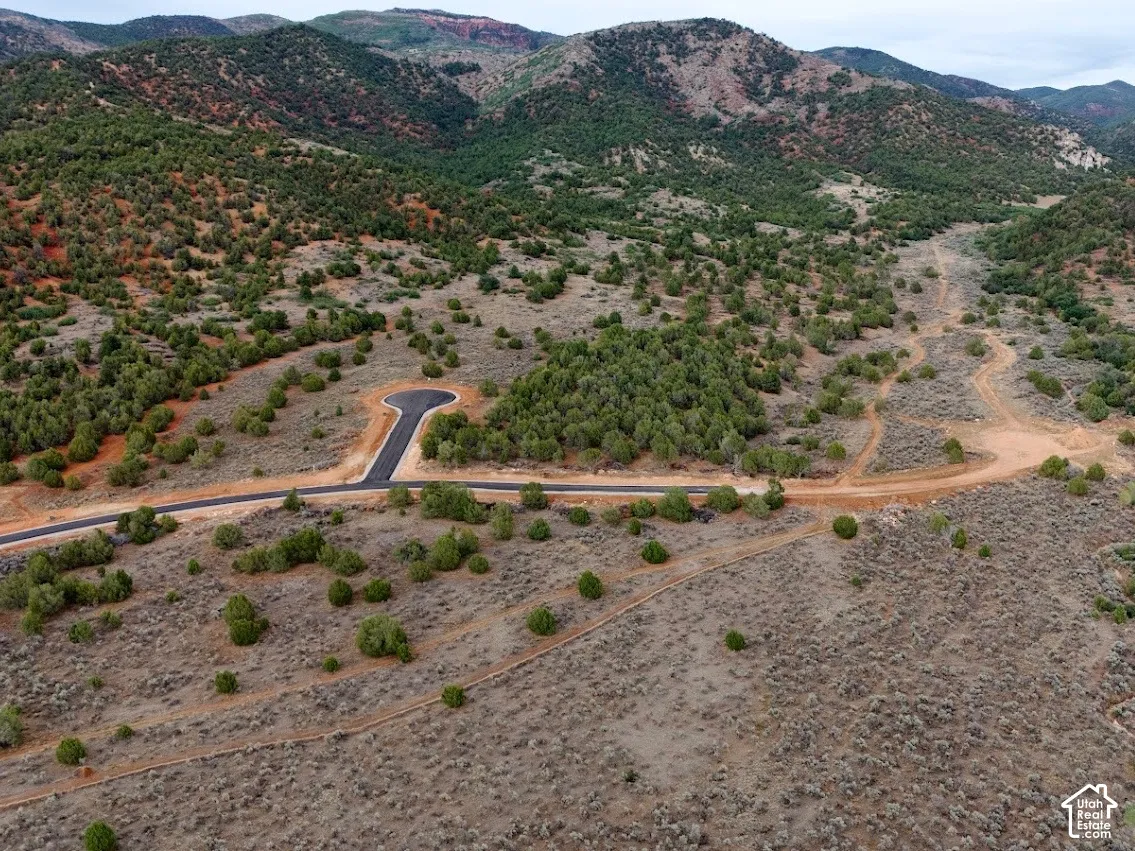 Expansive undeveloped parcel featuring paved cul-de-sac access, native high-desert vegetation, and a prominent mountainous backdrop