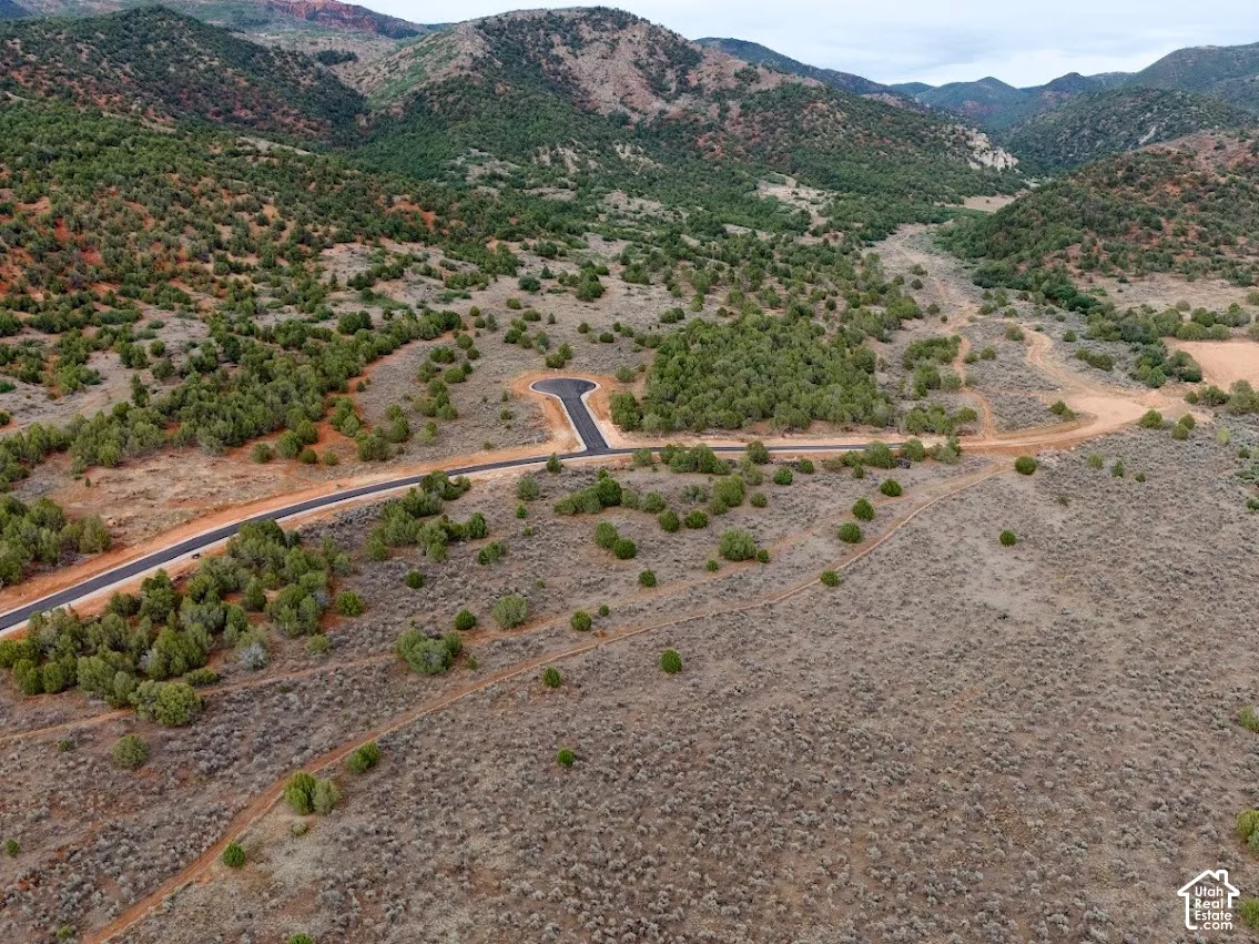 Expansive undeveloped acreage featuring paved roads, native vegetation, and a mountainous backdrop