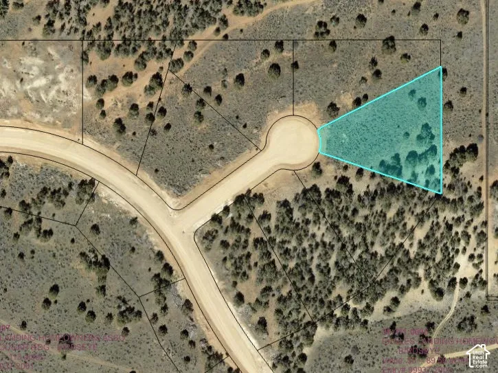 Plat Map. Aerial depiction of the property boundaries and land parcel configuration