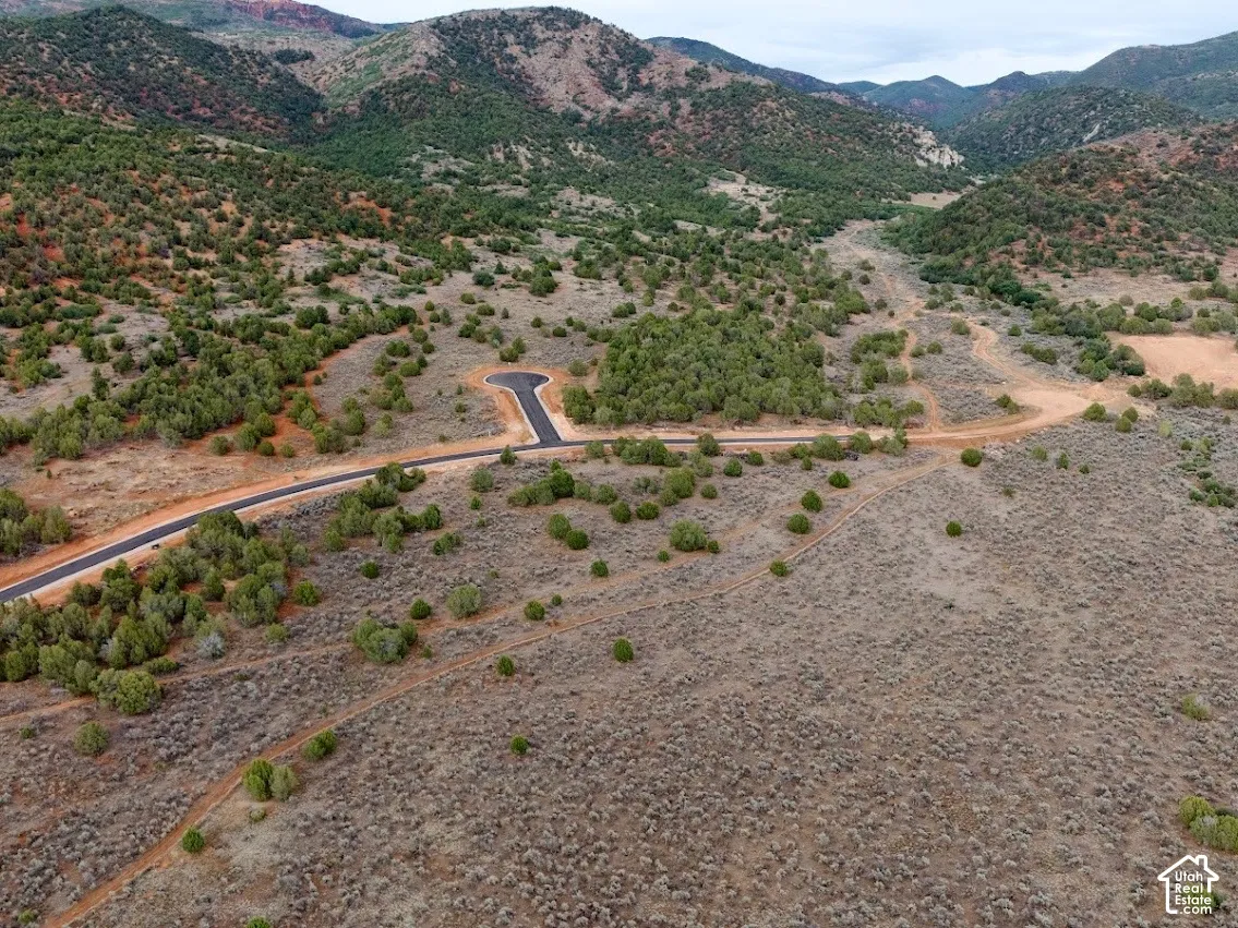 Expansive undeveloped acreage featuring paved roads, native vegetation, and a mountainous backdrop