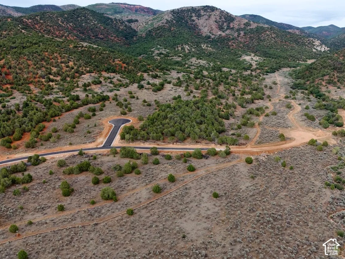 Expansive undeveloped acreage featuring native desert vegetation, paved cul-de-sac infrastructure, and rugged mountain topography